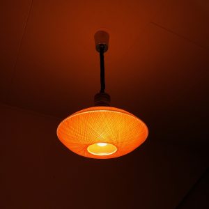 Space age fiber pendent light